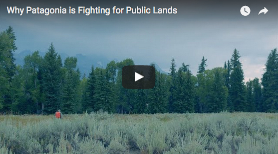Video Why Patagonia Is Fighting For Public Lands The Venturing Angler